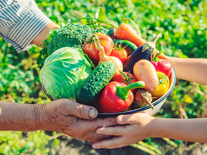 Com podem diferenciar aliments ecològics, biològics, orgànics i sostenibles